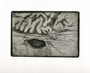 Brain Landscape, Landscape Brain, soft ground etching